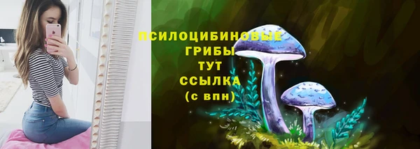 ALPHA-PVP Вязьма