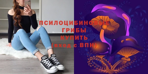 mix Вяземский