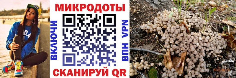 Галлюциногенные грибы Psilocybine cubensis  где купить наркотик  Жердевка 