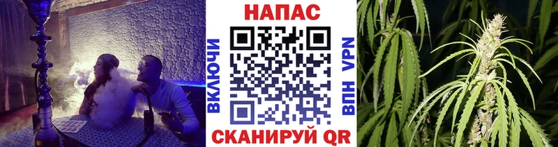 Канабис семена  Жердевка 